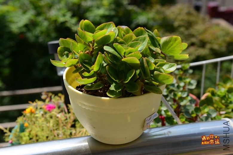 ��Ƭ 057_����.jpg