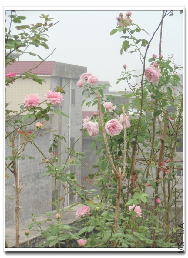CIMG0551_����.jpg