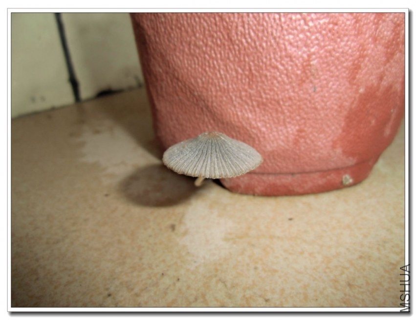 CIMG0541_����.jpg
