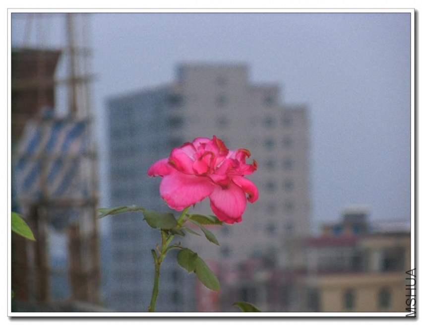 CIMG0540_����.jpg