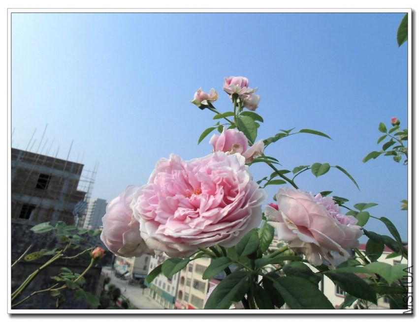 CIMG0533_����.jpg