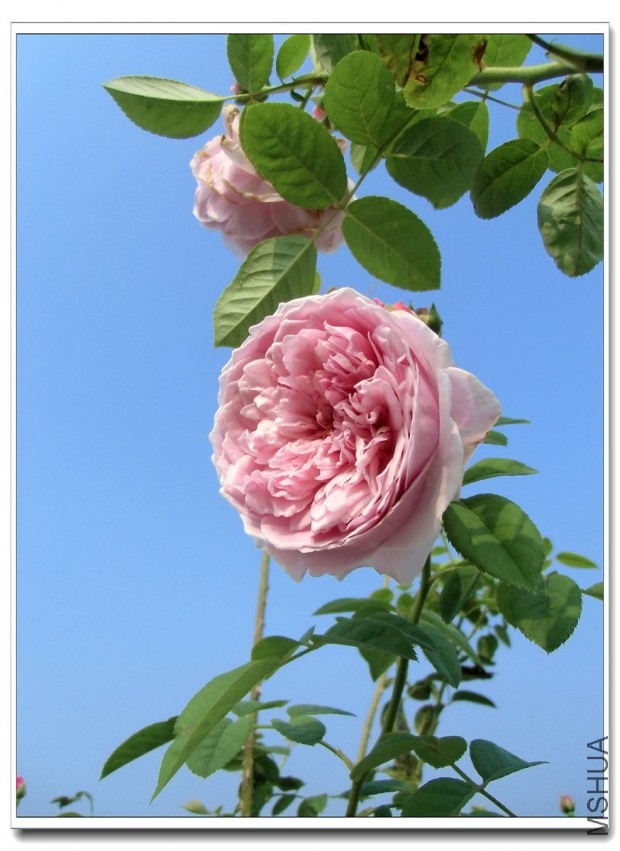 CIMG0532_����.jpg