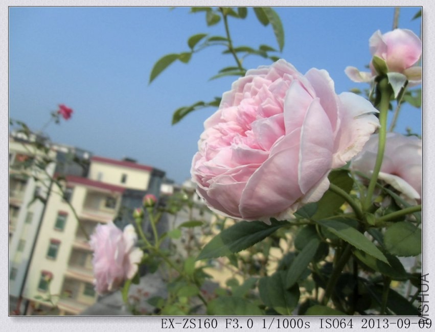 CIMG0531_����.jpg