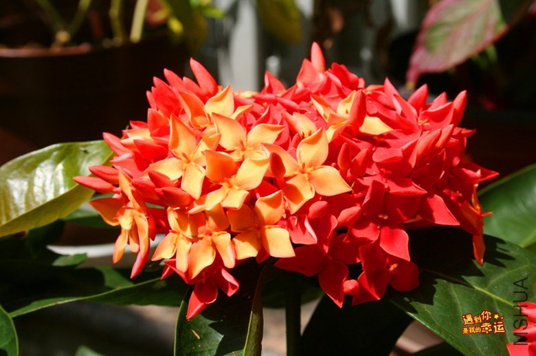 ��Ƭ 015_����.jpg