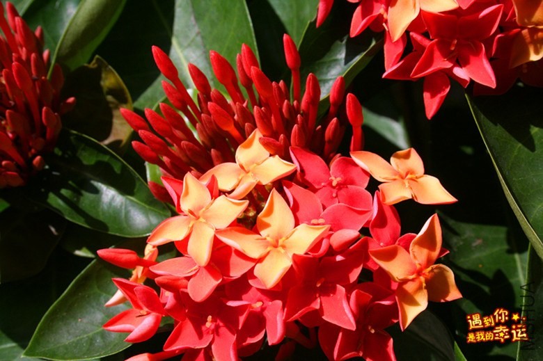 ��Ƭ 018_����.jpg