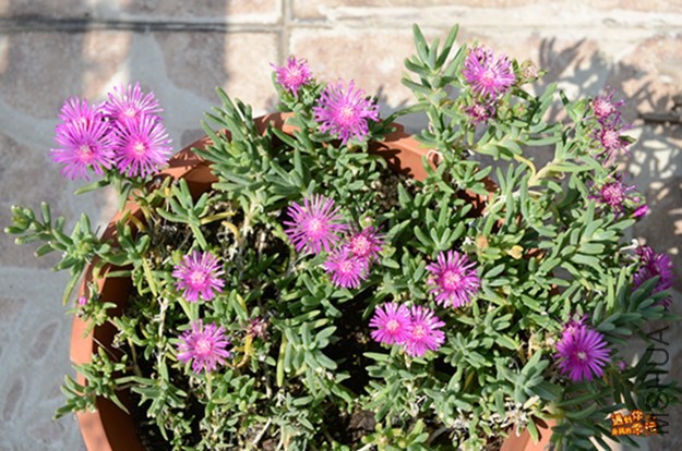 ��Ƭ 085_����.jpg