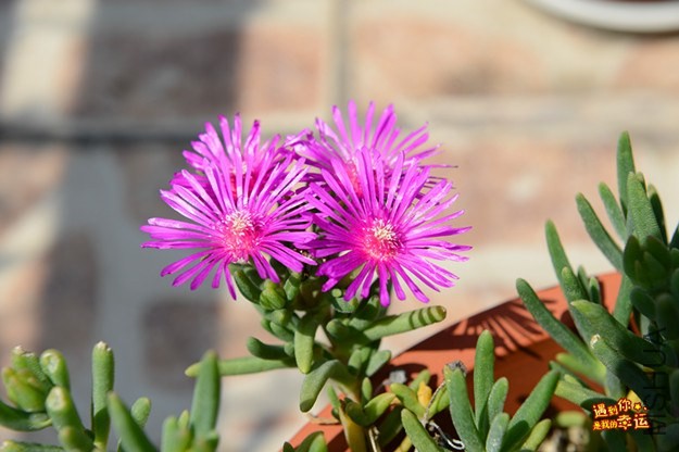 ��Ƭ 088_����.jpg