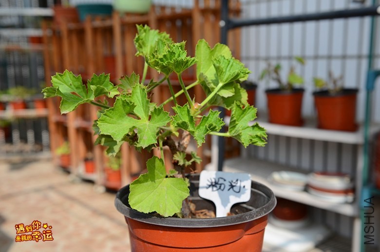 ��Ƭ 048_����.jpg