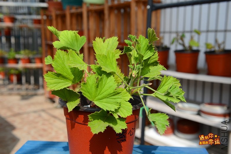 ��Ƭ 049_����.jpg