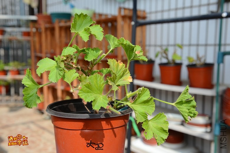 ��Ƭ 050_����.jpg