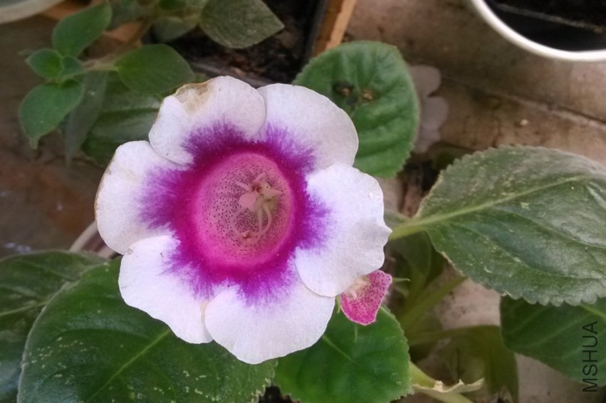 ��Ƭ 11332201.jpg