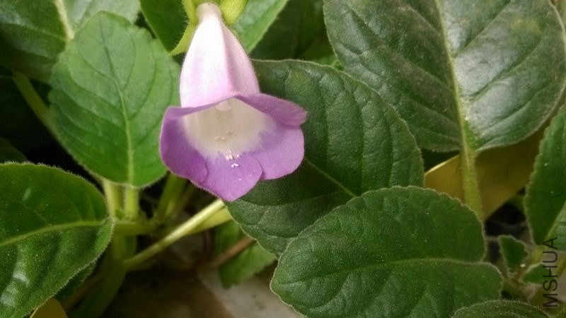 ��Ƭ 11332301.jpg