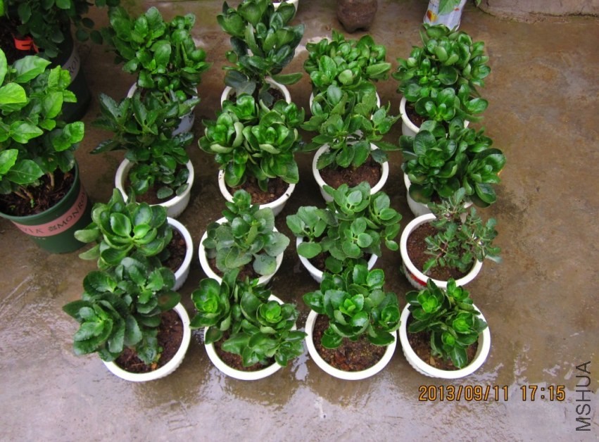 QQͼƬ20130911174038.jpg