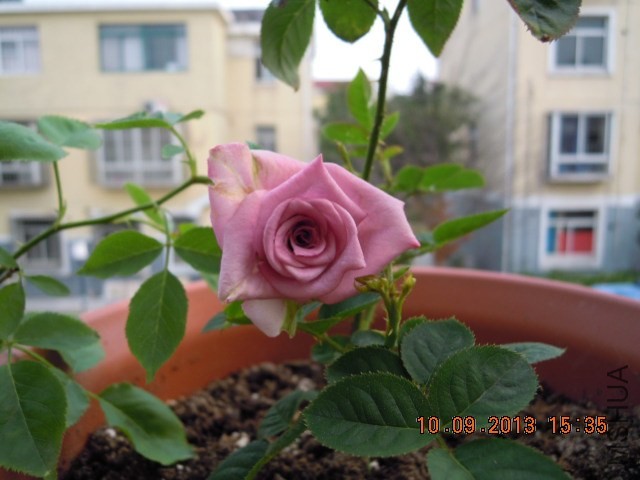 DSCN1164.JPG