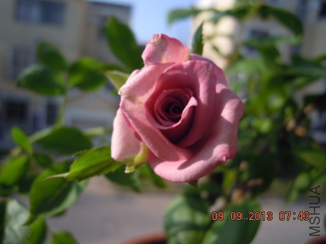 DSCN1158.JPG