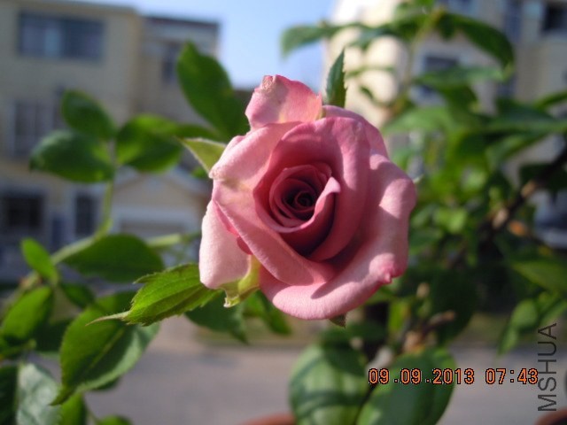 DSCN1159.JPG