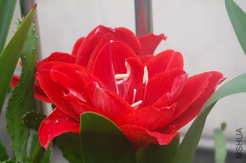 DSC_01010101.JPG