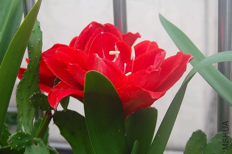 DSC_01040104.JPG