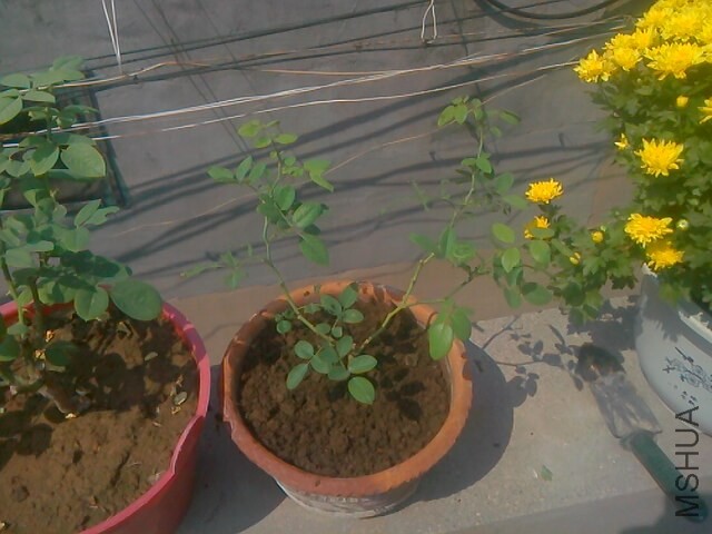 IMG0912113800.jpg