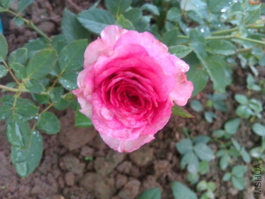 IMAG2133.jpg