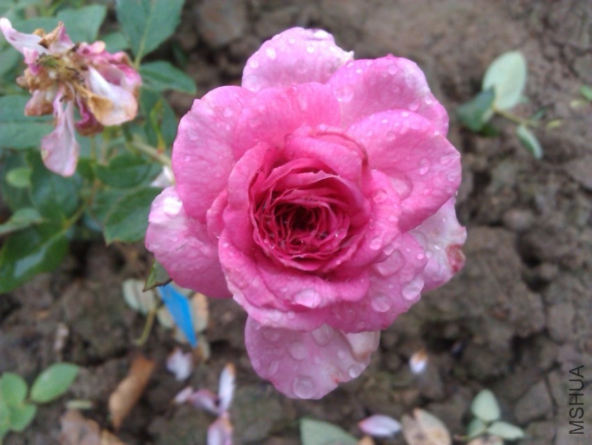 IMAG2134.jpg
