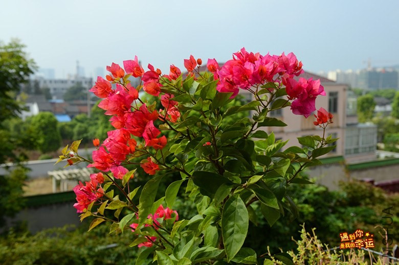 ��Ƭ 021_����.jpg