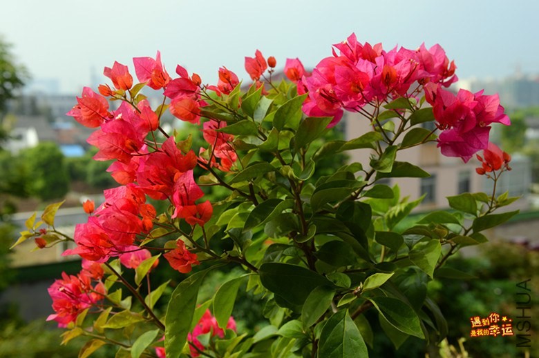 ��Ƭ 022_����.jpg