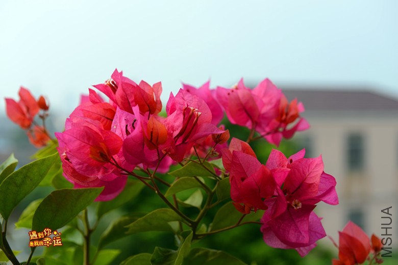 ��Ƭ 026_����.jpg