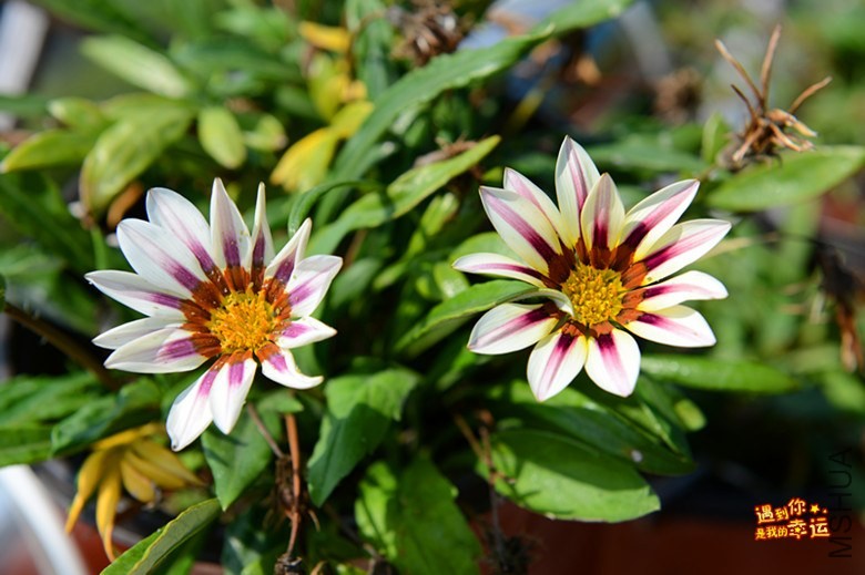 ��Ƭ 073_����.jpg