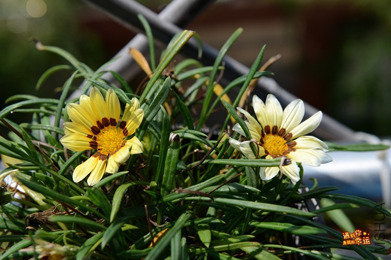 ��Ƭ 075_����.jpg