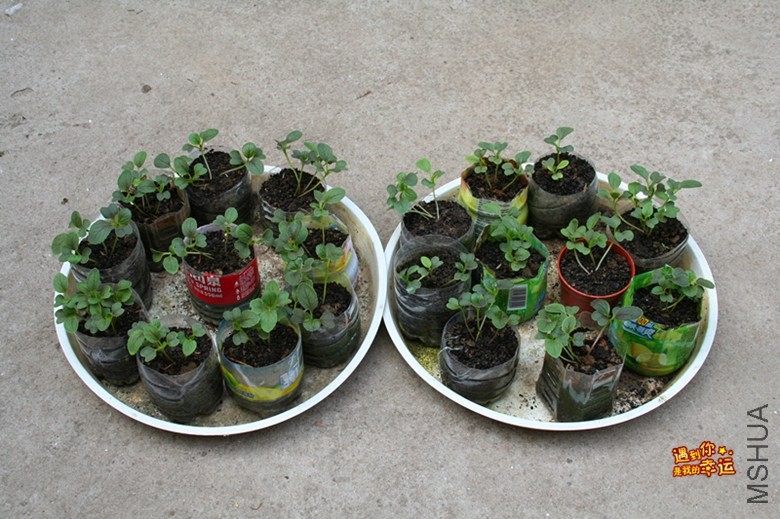 ��Ƭ 081_����.jpg