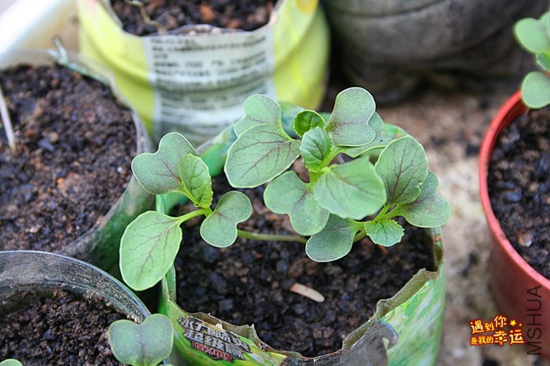 ��Ƭ 082_����.jpg