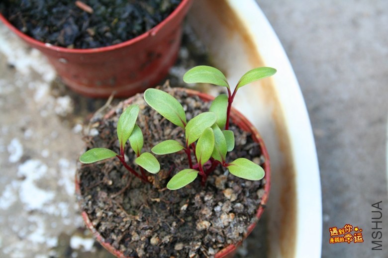 ��Ƭ 086_����.jpg