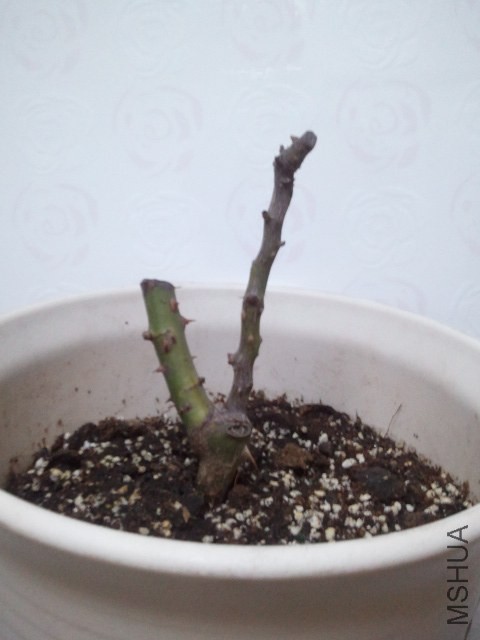 2013-09-12 23.00.33.jpg
