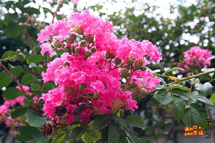 ��Ƭ 186_����.jpg