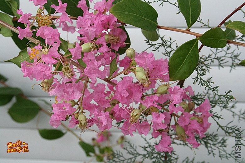 ��Ƭ 191_����.jpg