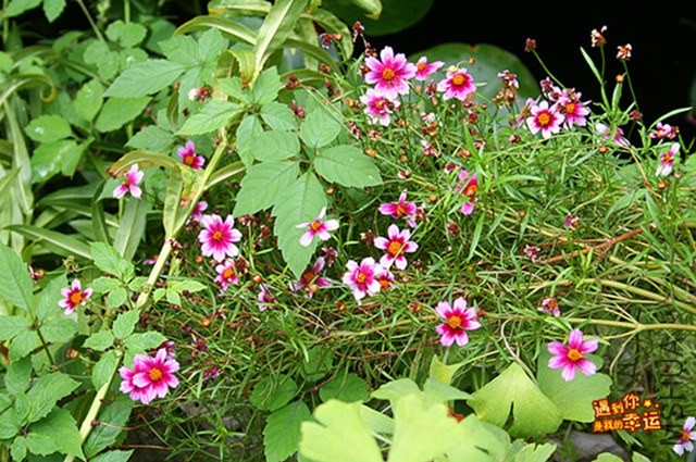 ��Ƭ 185_����.jpg