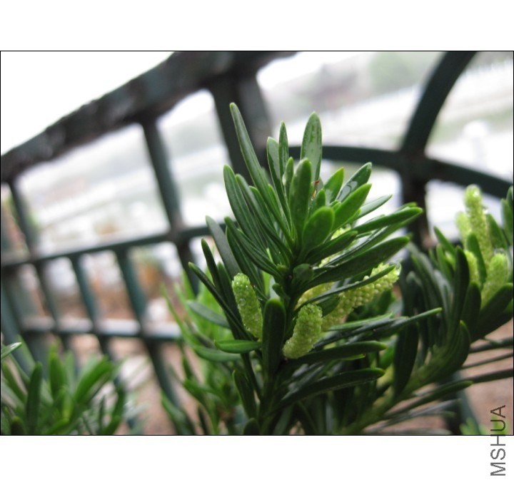 QQͼƬ20130913220144.jpg