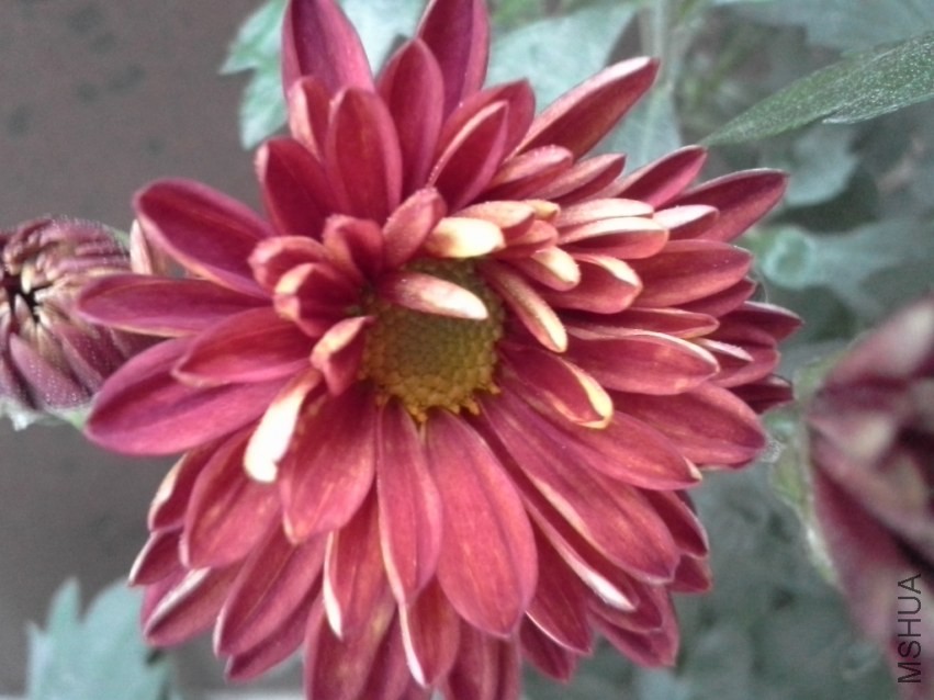 �ջ����20130628_10.jpg