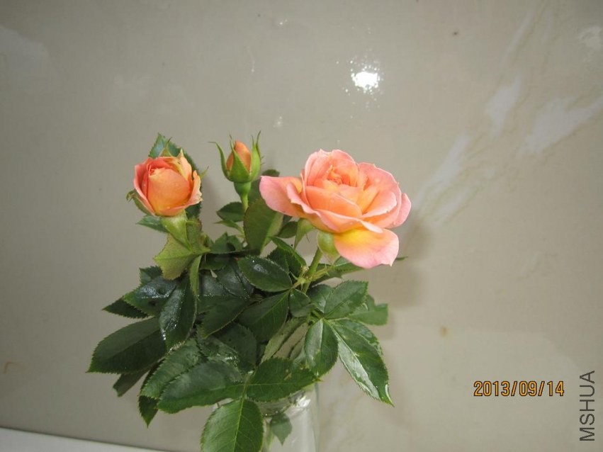 СħŮ����0.jpg