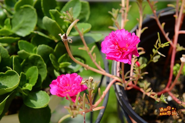 ��Ƭ 063_����.jpg