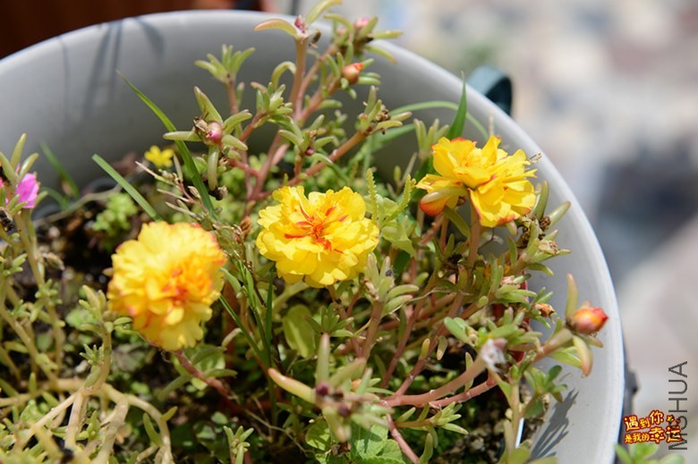 ��Ƭ 065_����.jpg