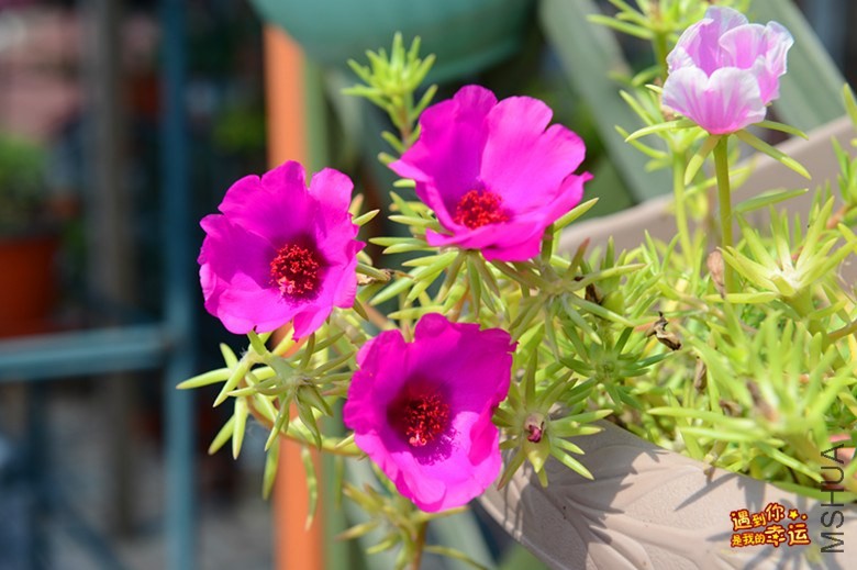 ��Ƭ 067_����.jpg