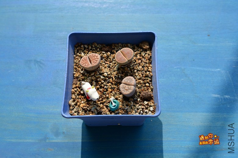 ��Ƭ 051_����.jpg