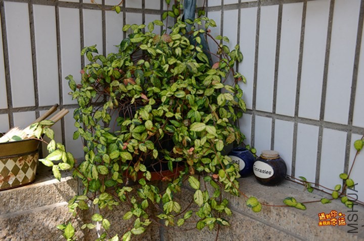 ��Ƭ 106_����.jpg