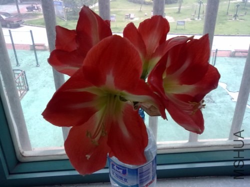 201305282538.jpg