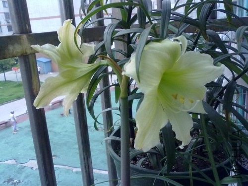 201306192600.jpg