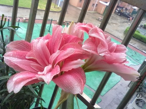 201306272651.jpg