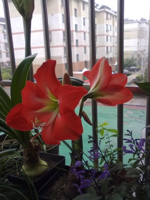 201306242623.jpg