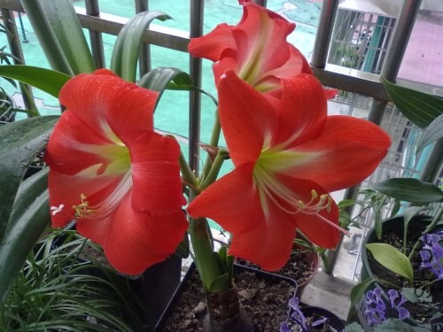 201306272652.jpg